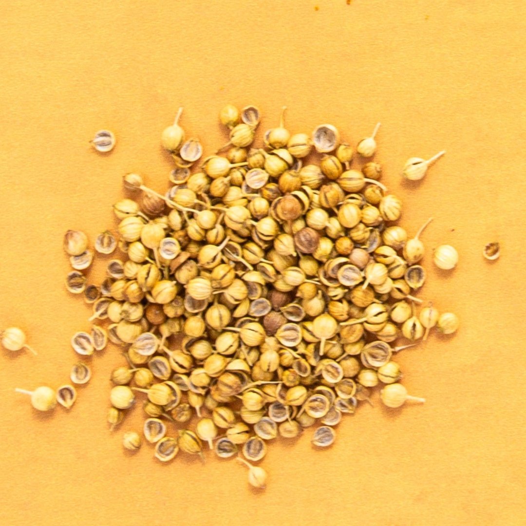 Herati Coriander Seed Flatpack - Rumi Spice - Rumi Spice - 