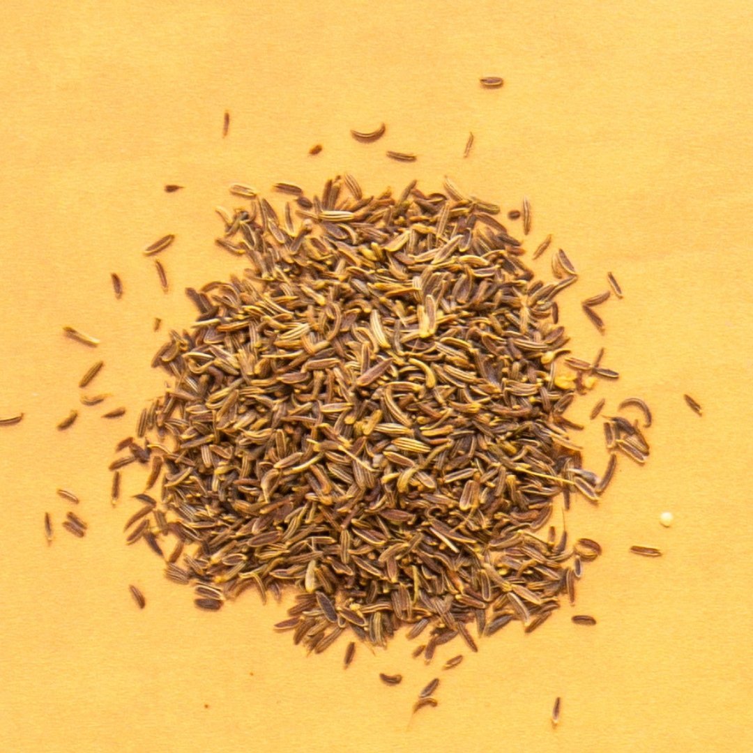 Wild Foraged Fennel Seed - Flatpack - Rumi Spice - Rumi Spice - 